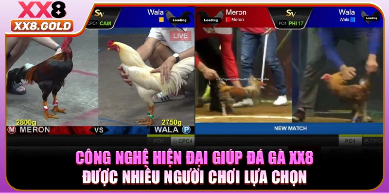 Công nghệ hiện đại giúp đá gà XX8 được nhiều người chơi lựa chọn