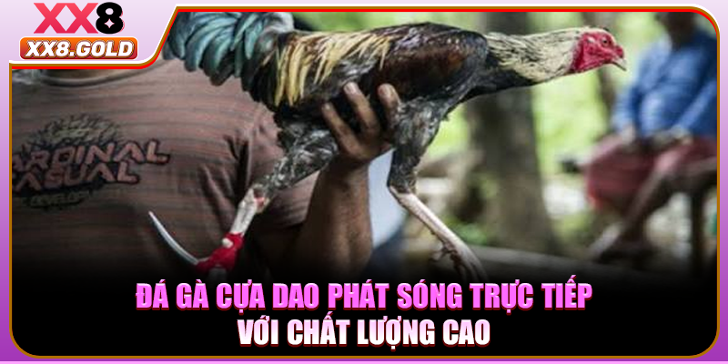 Đá Gà Cựa Dao - Phát Sóng Trực Tiếp Chuẩn HD Tại XX8