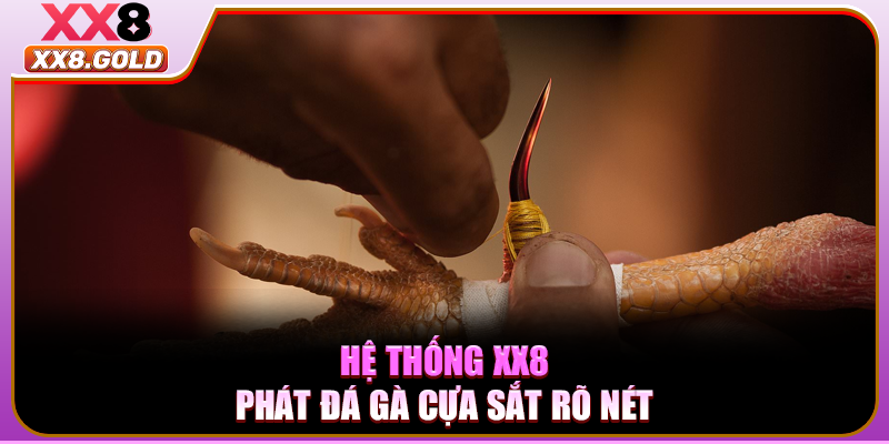 Hệ thống XX8 phát đá gà cựa sắt rõ nét