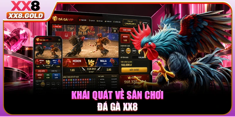 Khái quát về sân chơi đá gà XX8